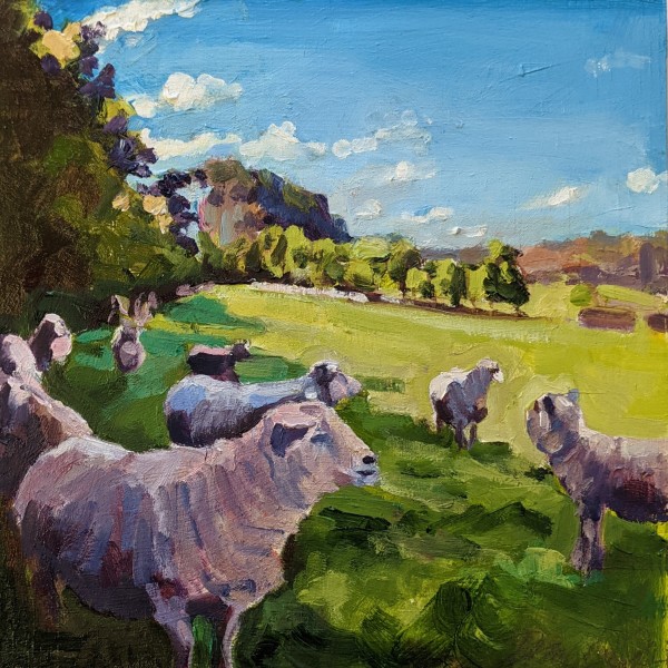 Southdown Sheep by Rachel Catlett