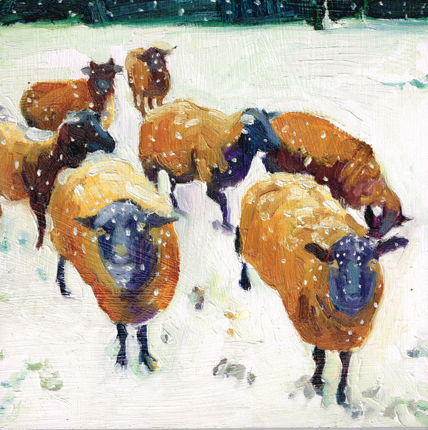Black Welsh Mountain Sheep by Rachel Catlett