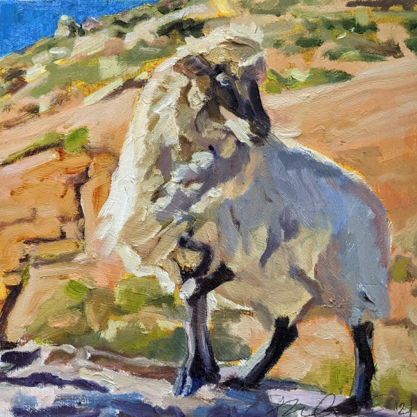 Navajo Churro Sheep,III by Rachel Catlett
