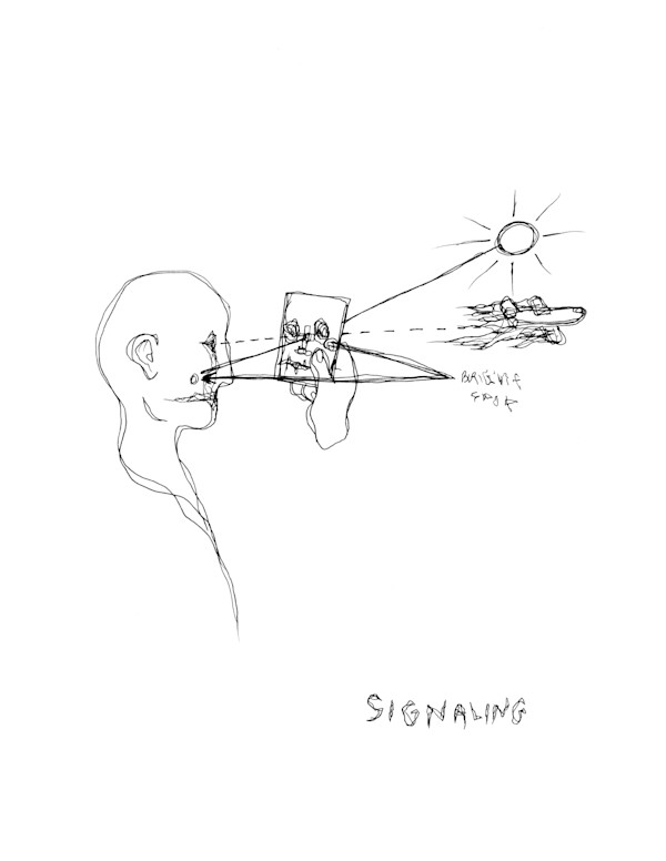Signaling by Jonathan Canady