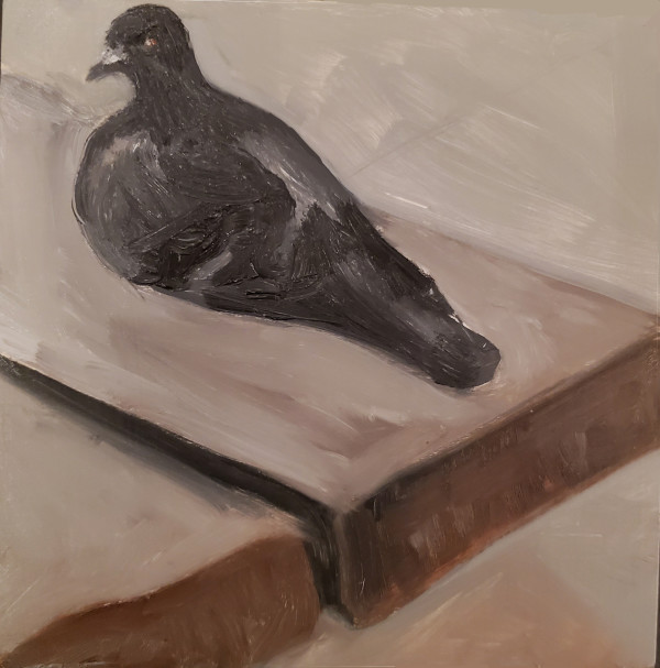 pigeon3 by Barbara Pollak-Lewis 