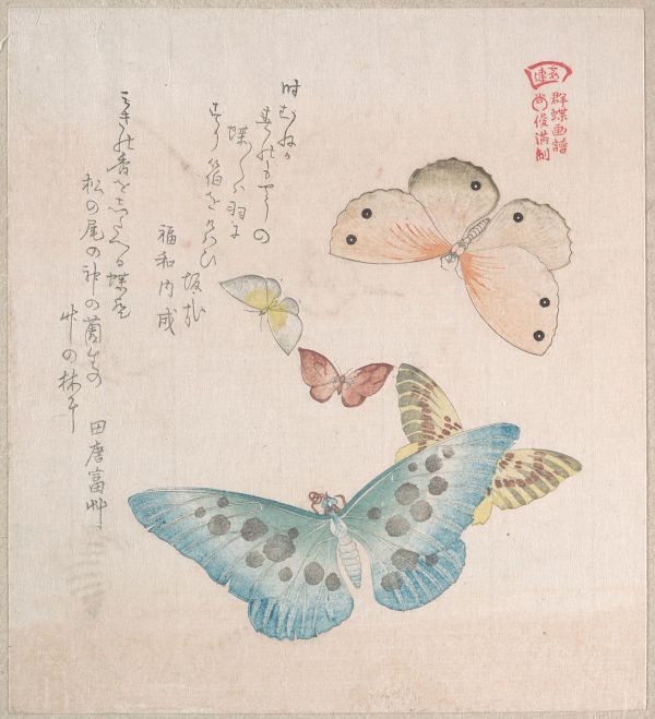 Various Moths and Butterflies II by Kubo Shunman