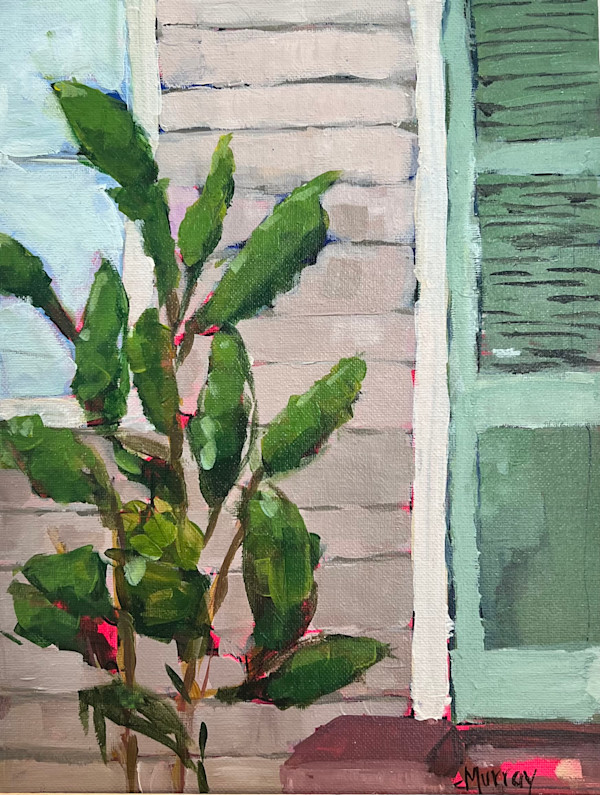 Shutter Envy by Beth Murray