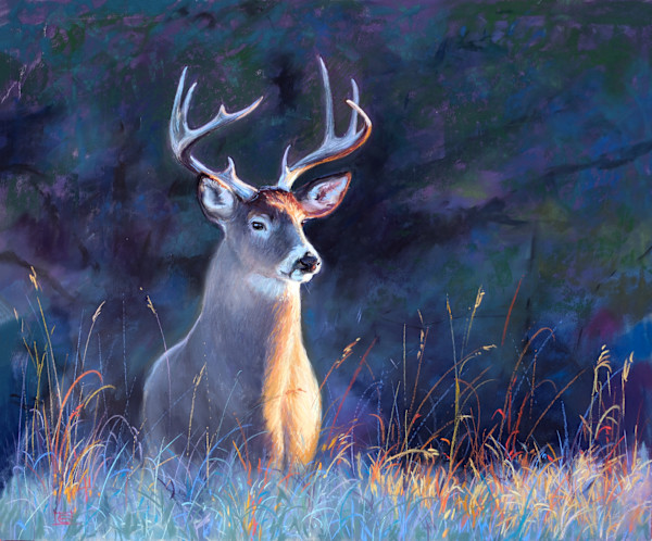 Spirit of Little Deer by Lisa Gleim