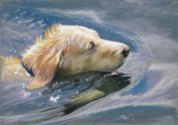 Doggie Paddle by Lisa Gleim