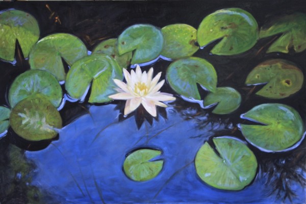 Water Lily Pads by Lisa Gleim
