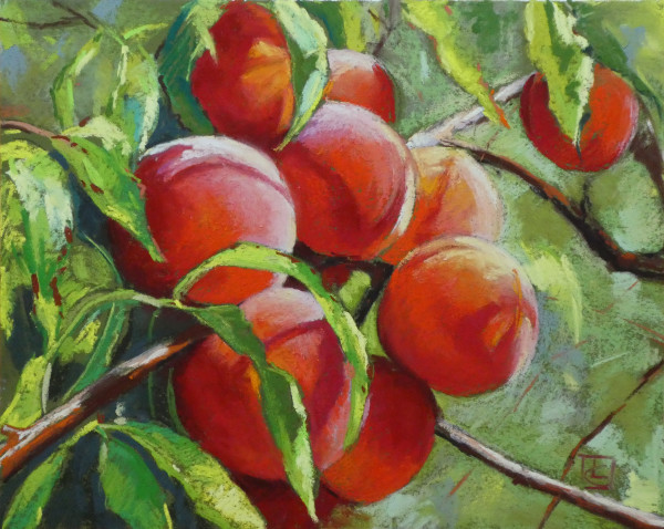 Peaches by Lisa Gleim