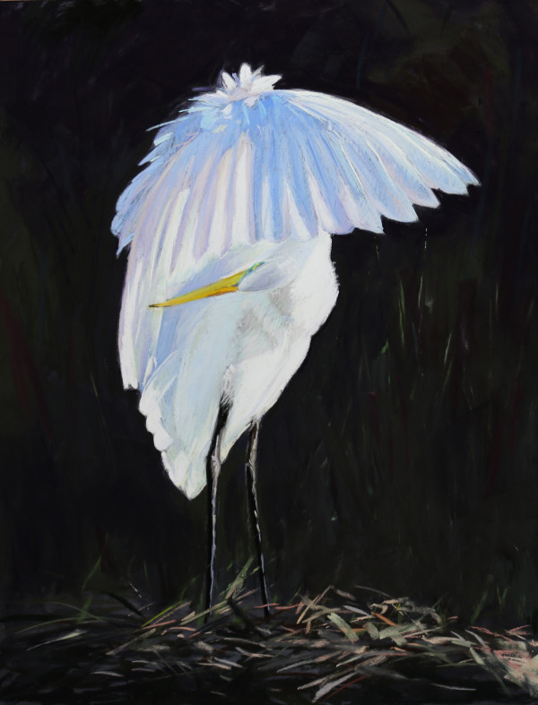 Preening Egret by Lisa Gleim