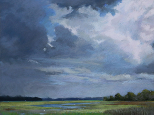 Rain Clouds and Roosts by Lisa Gleim