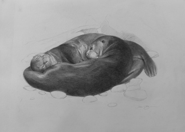 Yin-yang (Giant River Otters) by Lisa Gleim, Image 1.