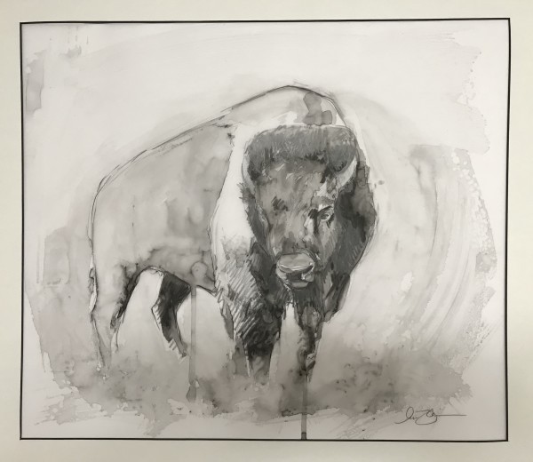 American Bison by Lisa Gleim