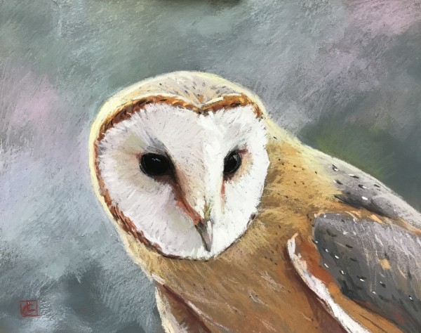 Barn Owl by Lisa Gleim