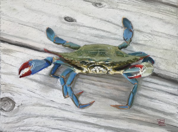 Blue Crab by Lisa Gleim