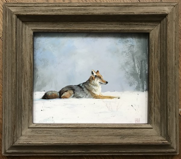 Calm Coyote by Lisa Gleim