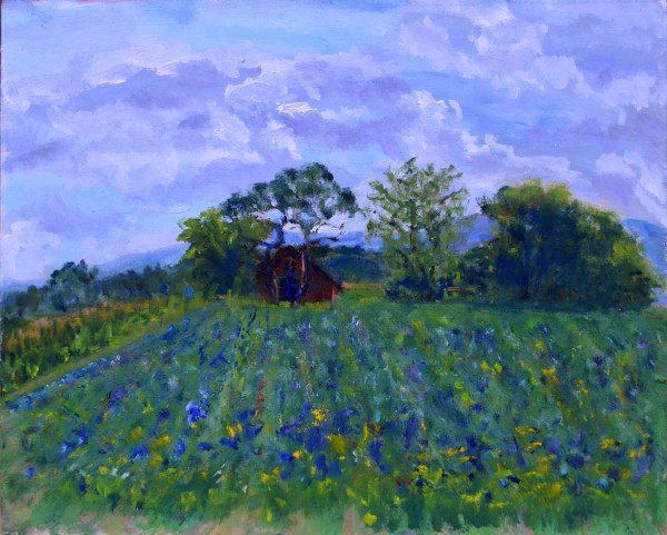 Field on Rainbow Road by iris wheaton