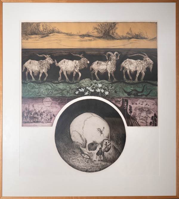 Canyon Wall by Boyd Saunders