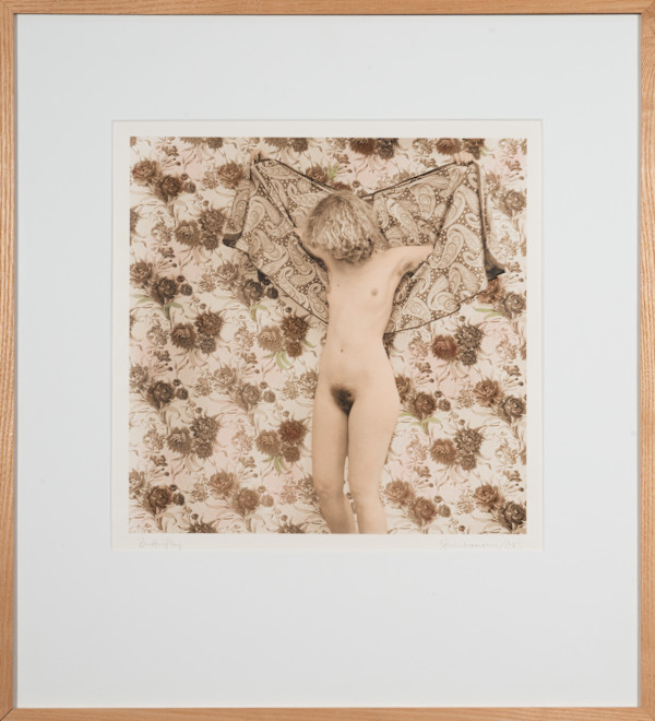 Butterfly by Judith Steinhauser