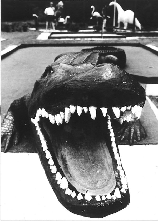 Alligator by Bill Buggel