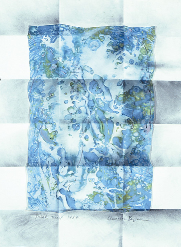 Trial Map #4 by Eleanor McGowan Byrne