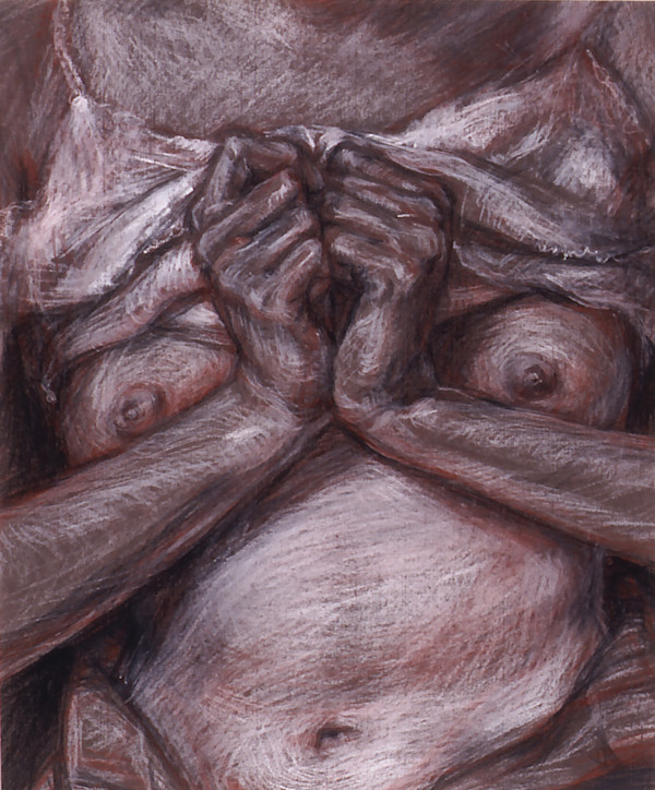 Heart in the Form of a Young Woman by Nancy M. Jaramillo
