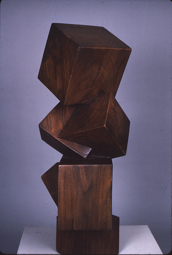 Driftwood from a Square Wave by William Ledyard
