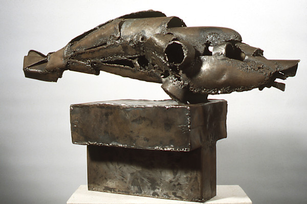 Killer Whale by Arthur Rose