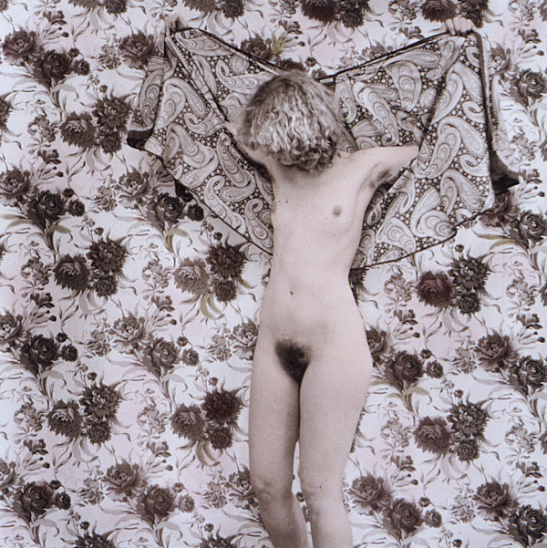 Butterfly by Judith Steinhauser