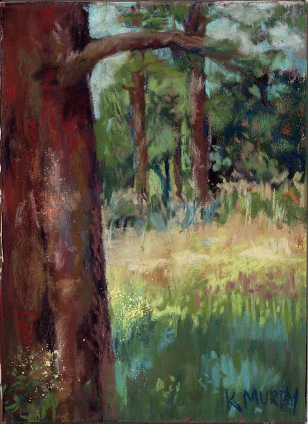 Framing the Meadow by Kristin Murphy