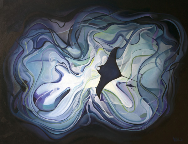 Manta From Below