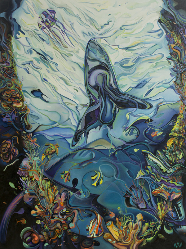 A Shark's World