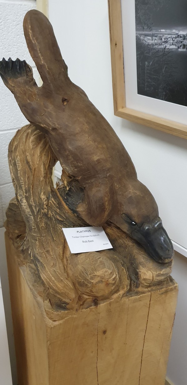 Platypus by Richard Bast