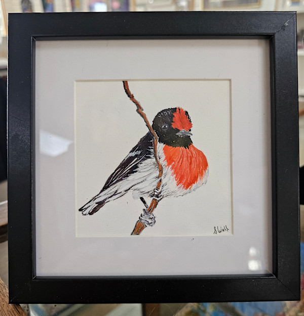Rose Breasted crossbeak by Sylvia Wall