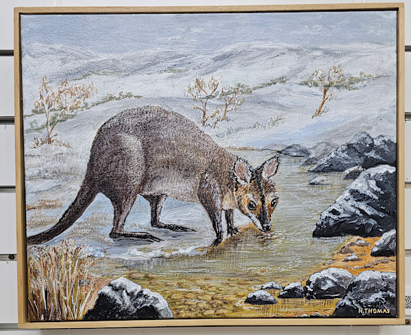 Red Wallaby by Halcyon Thomas