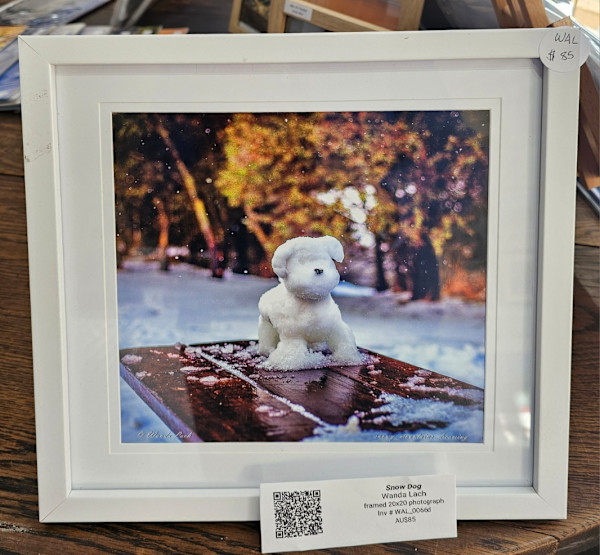Snow Dog by Wanda Lach