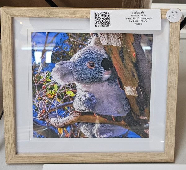 Syd Koala by Wanda Lach