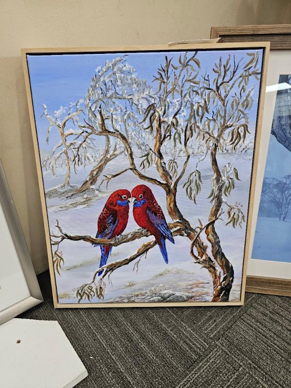 Rosellas in snow by Halcyon Thomas