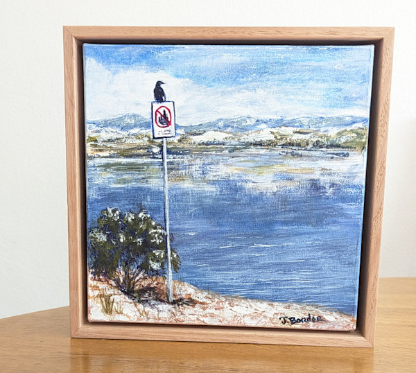 Currawong Chill by Jenny Border, Image 1.