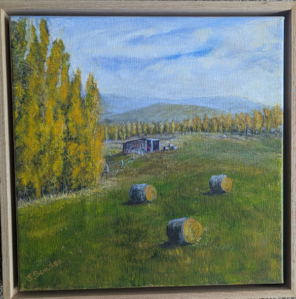 Golden Afternoon, Berridale by Jenny Border, Image 1.