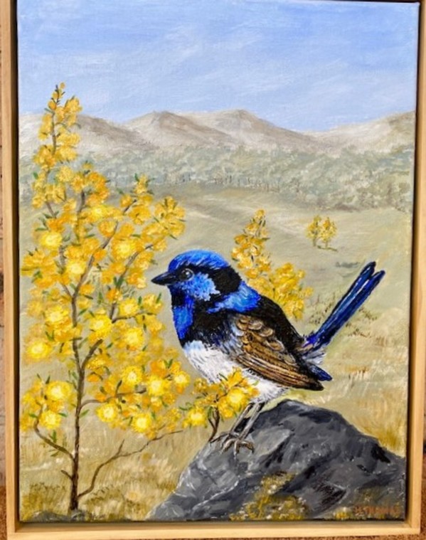 Blue Wren in Spring by Halcyon Thomas