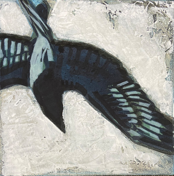 Bird study DIVING by Pattie Keenan, Image 1.