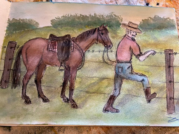 Checking the Fences by Sally Weston
