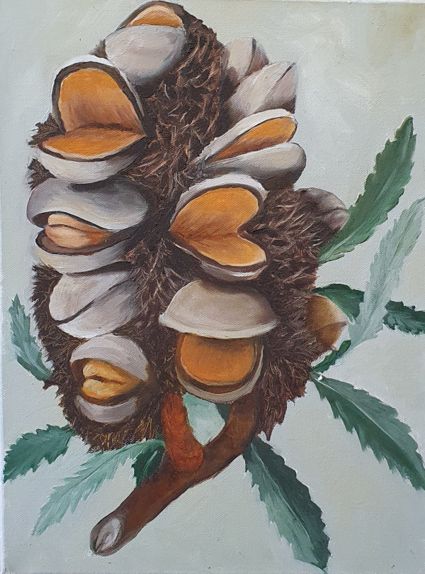Banksia by Sylvia Wall