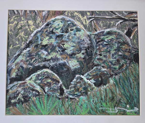 Creel Bay by Danielle Devine, Image 1.