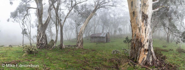 Misty Snow Gums at Cascade Hut by Mike Edmondson, Image 2.