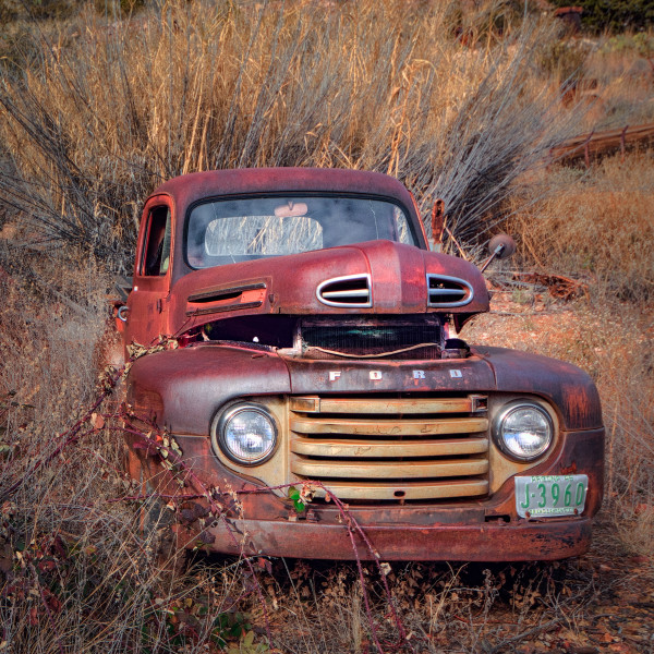 Ford in the Rough II by Nancy S Young