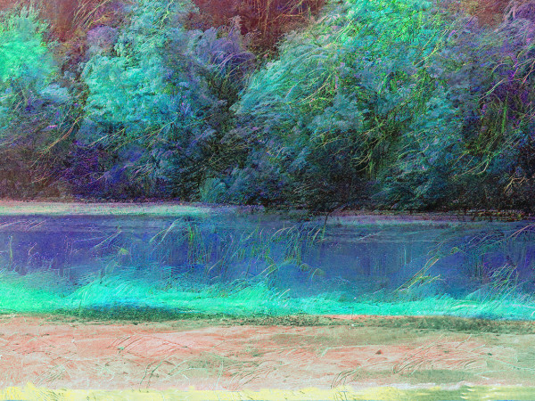 Painterly Guadalupe River by Nancy J. Wood