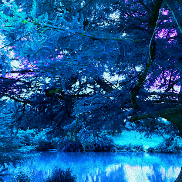 Guadalupe River Stream Blue by Nancy J. Wood, Image 1.