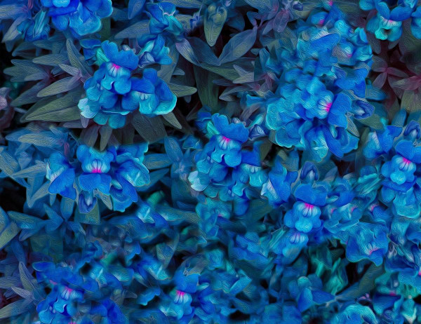 Fantasy Flowers Blue by Nancy J. Wood, Image 1.