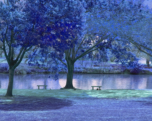 Spring Park Blue (small) by Nancy J. Wood