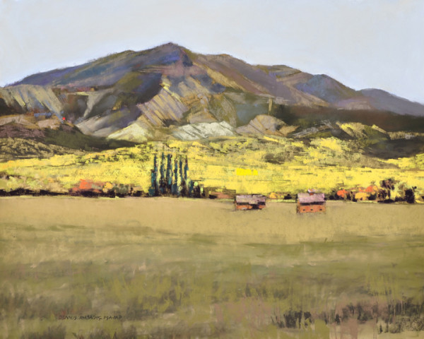 Mountain Grassland by Dennis Rhoades